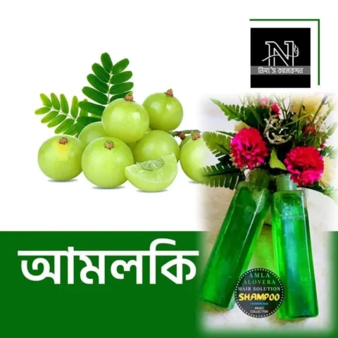 Organic Shampoo